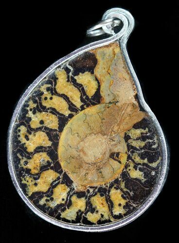 Moroccan Ammonite Fossil Pendant #58376